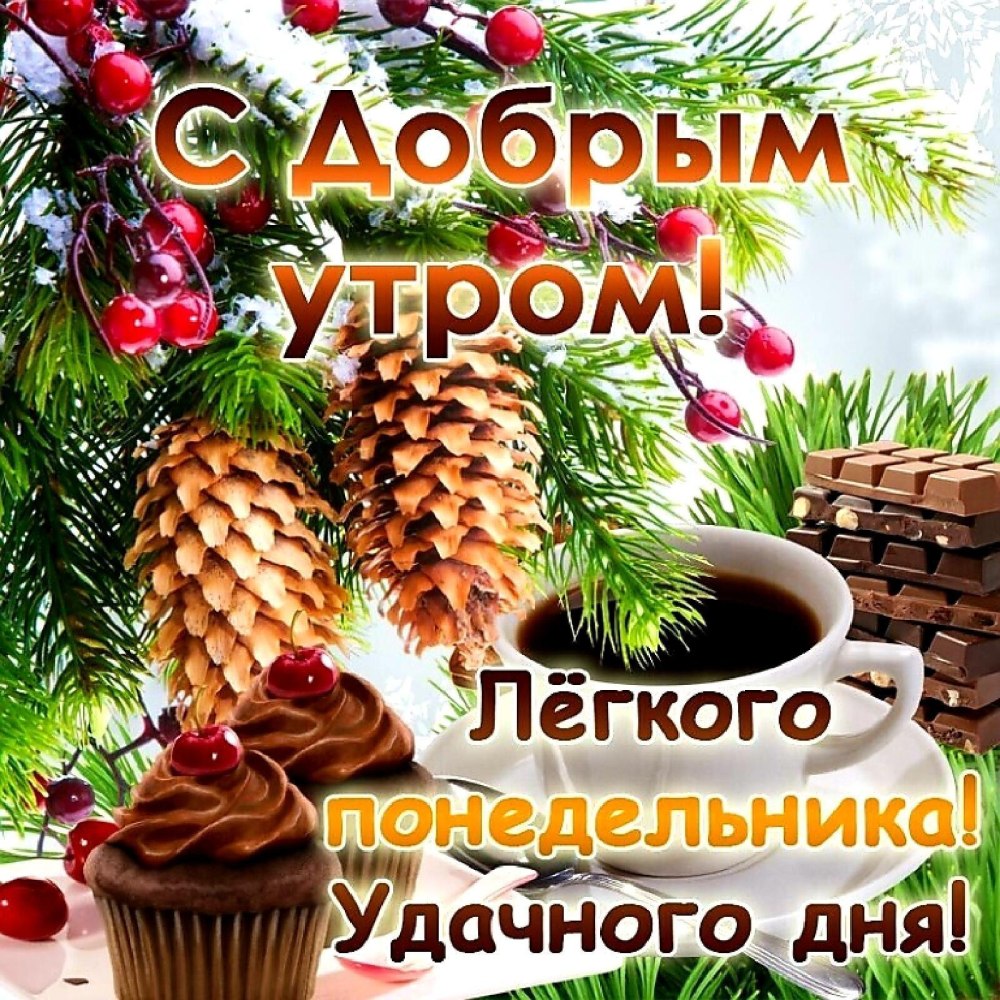 Доброе утро легкого понедельника цветы