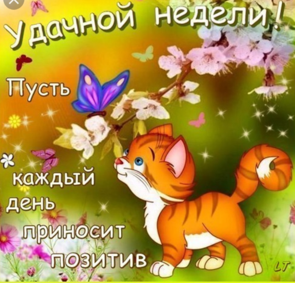 С добрым утром понедельника