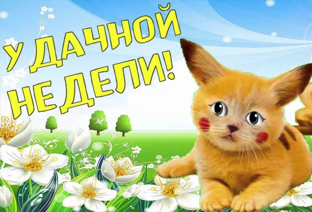 Открытки здоровья и бодрости