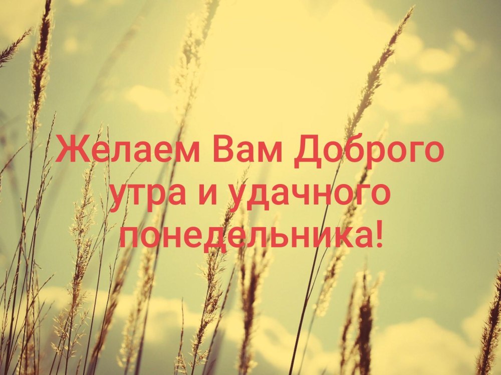 С добрым осенним утром понедельника