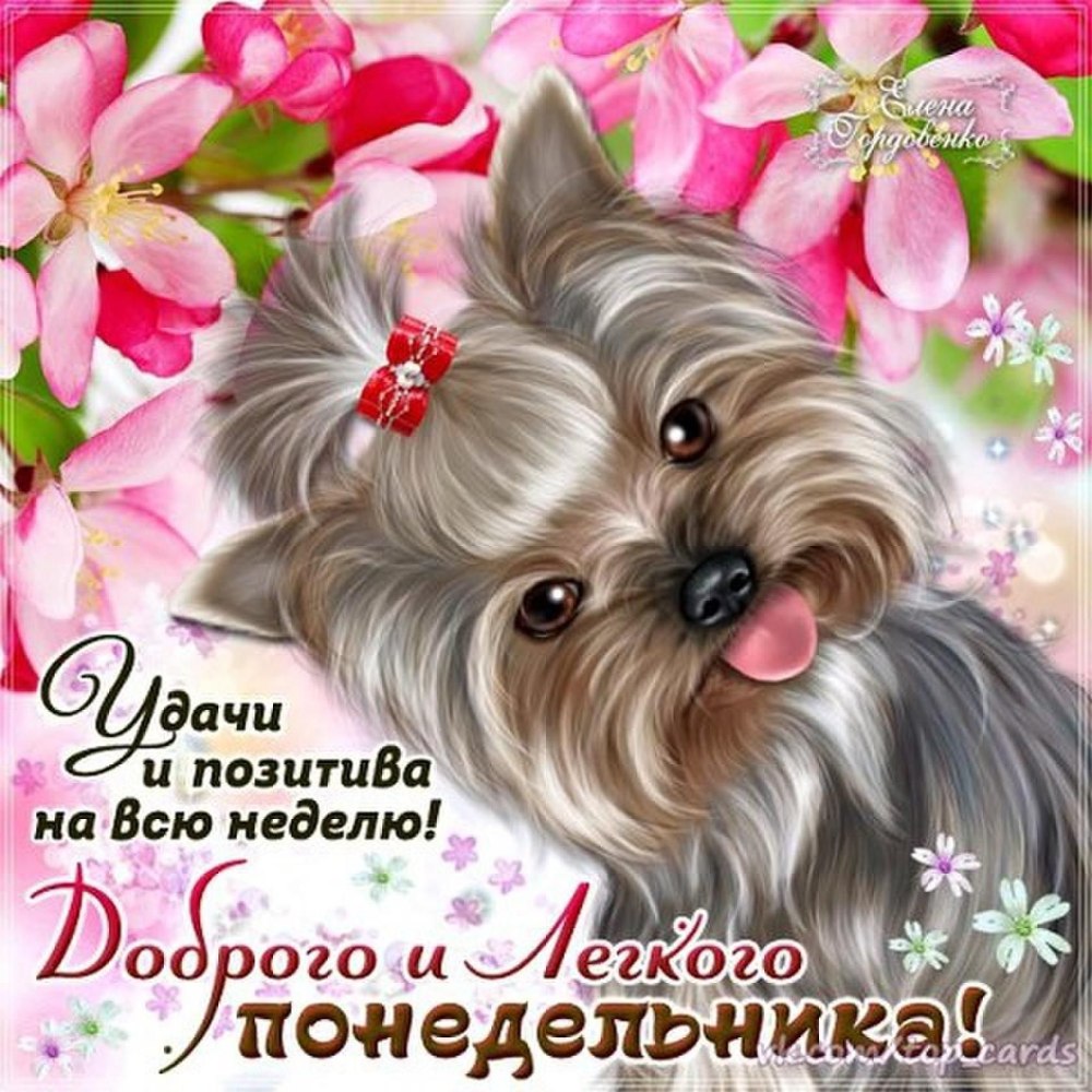 Открытки с добрым утром понедельника