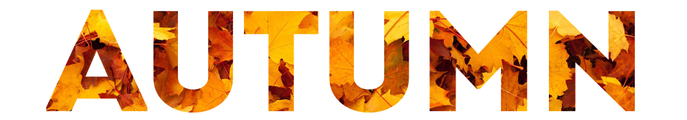 Autumn слово на прозрачном фоне