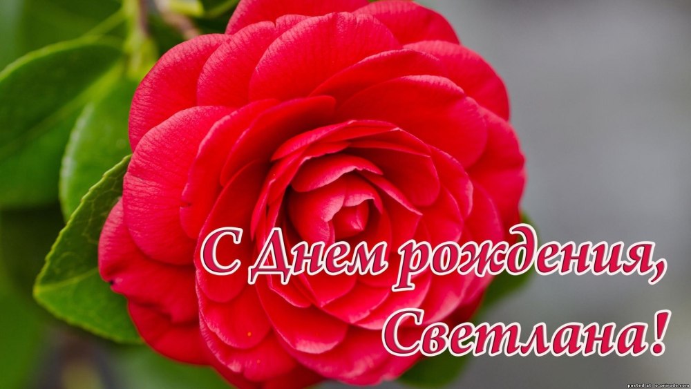 Открытка с днём рождения