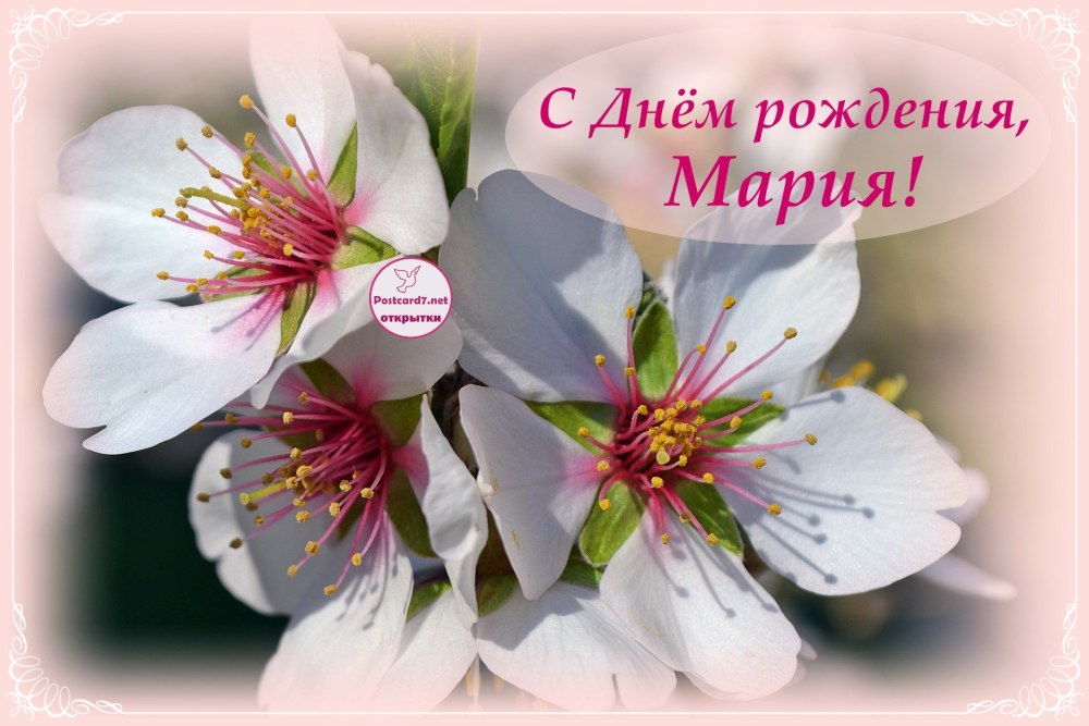 Поздравления с днём рождения маше прикольные