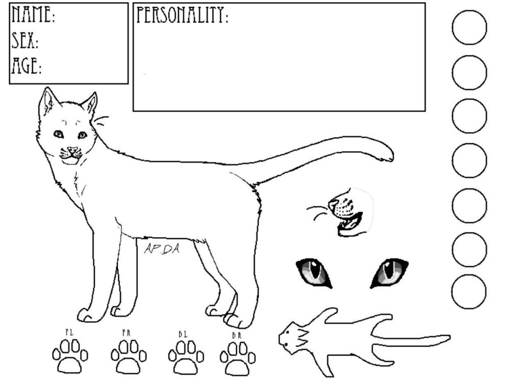 Коты воители трафарет