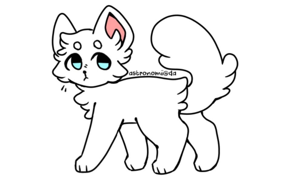 F2u Cat Base