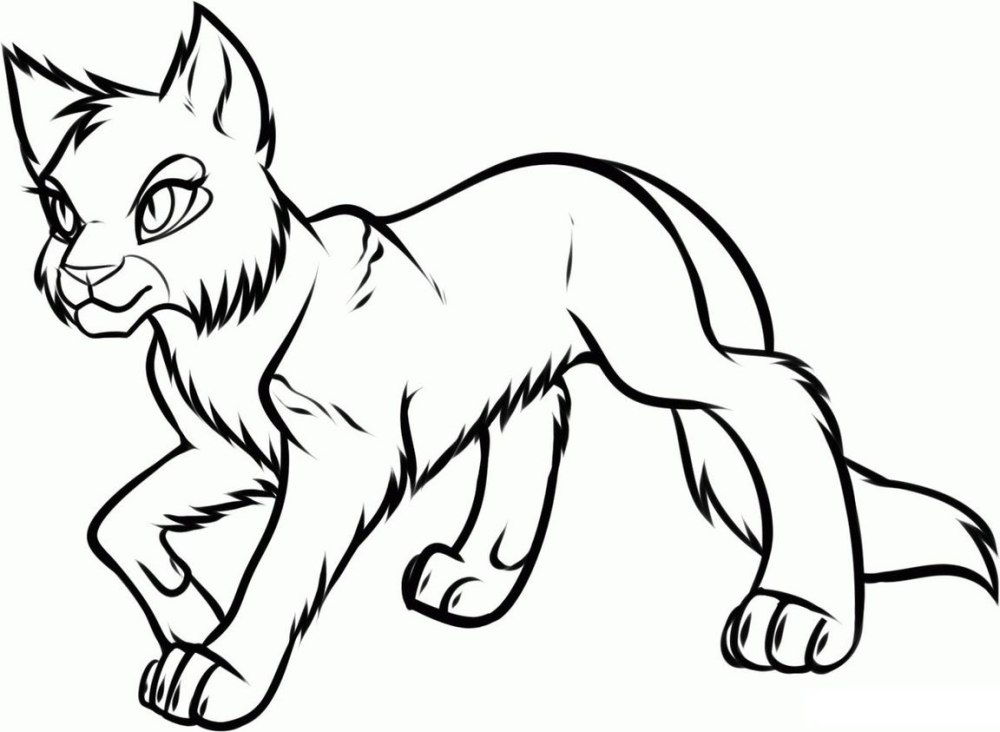 Коты Воители разукрашивать