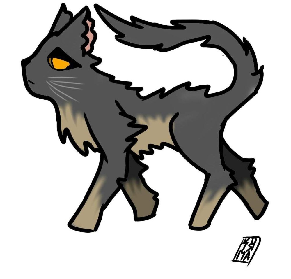 Алюберт кот Вики Феникс