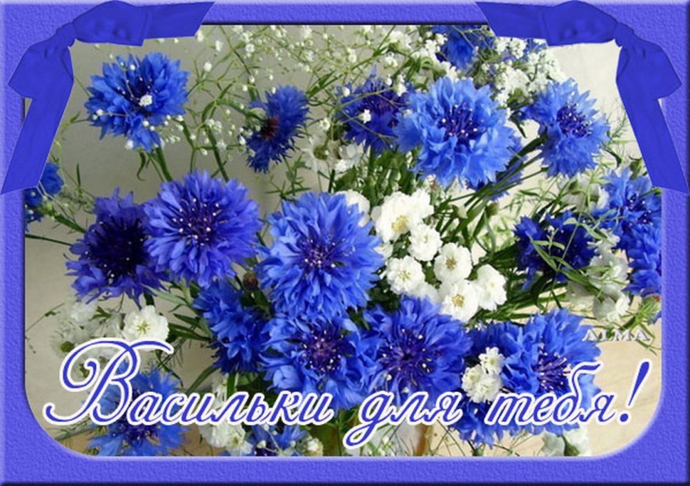 Корзинка с полевыми цветами
