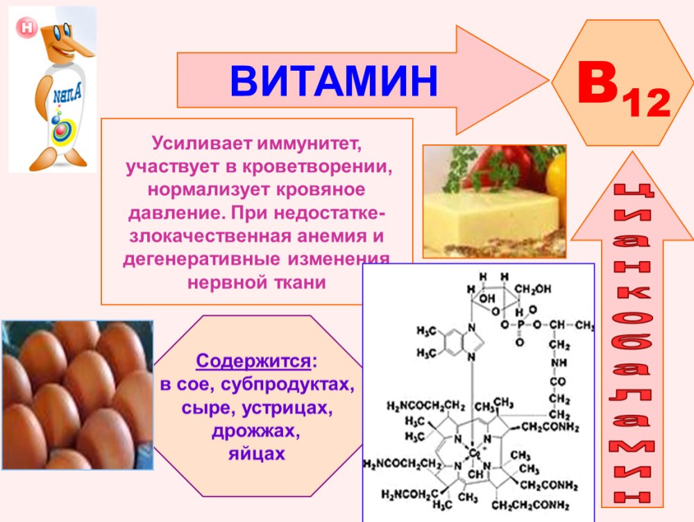 Фон еда