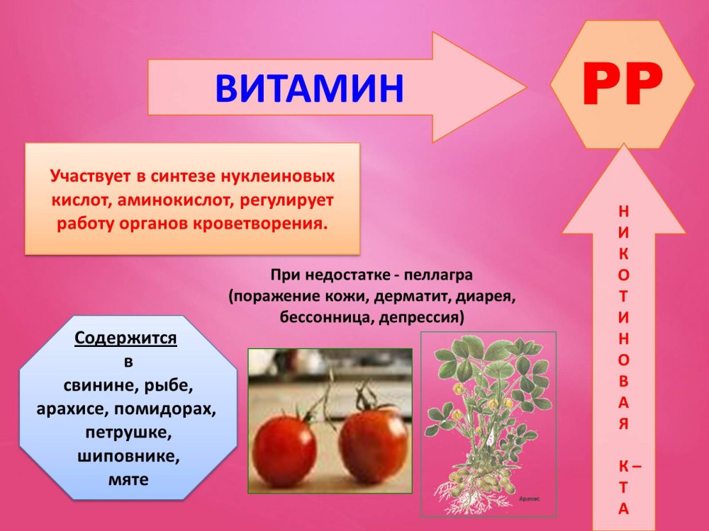 Рамка из овощей и фруктов