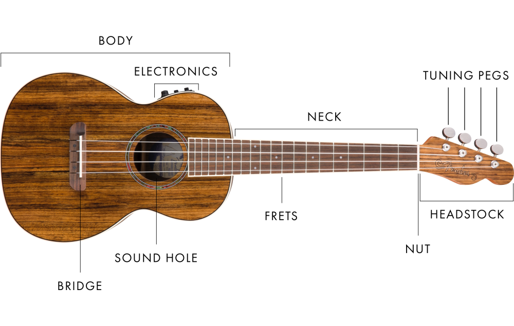 Чертеж гитары Fender Telecaster