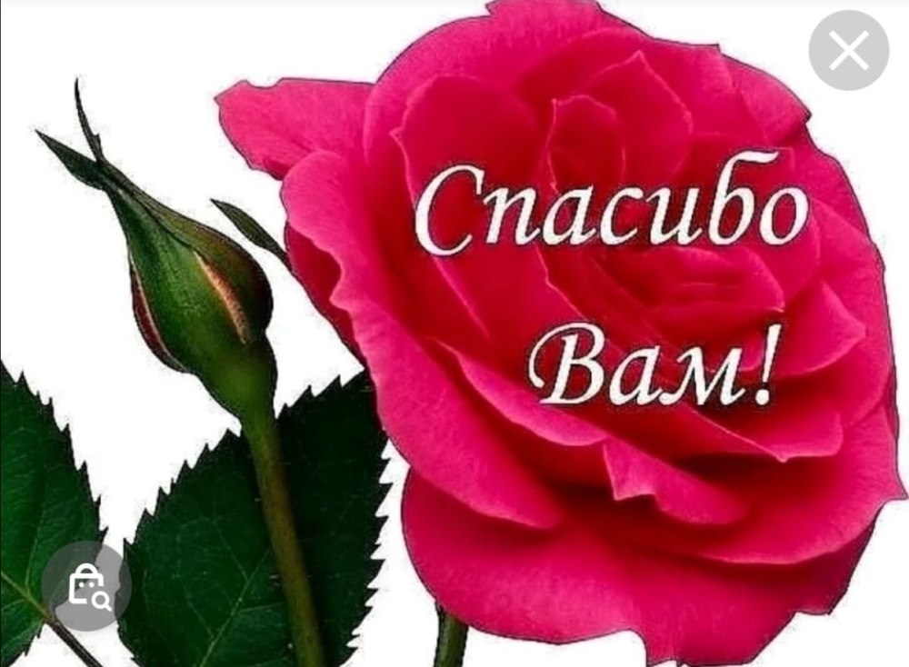 Спасибо вам