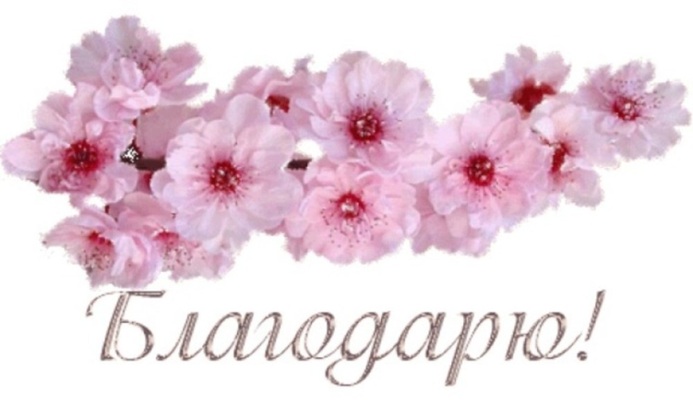 Благодарю на прозрачном фоне