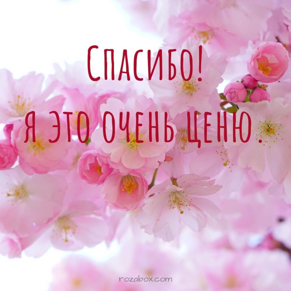 Нежная открытка спасибо