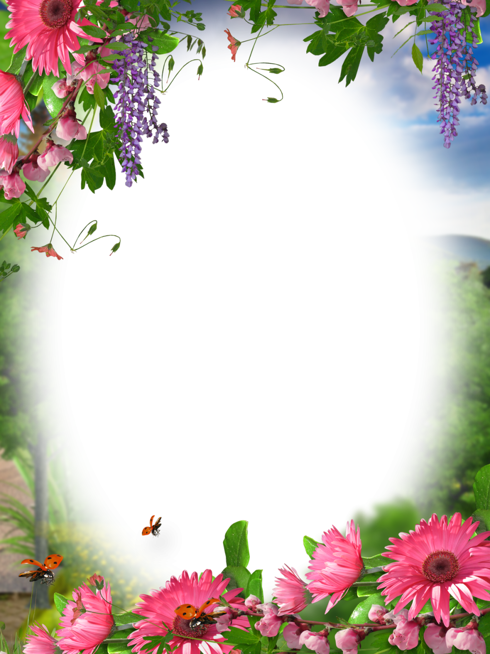 Летняя рамка