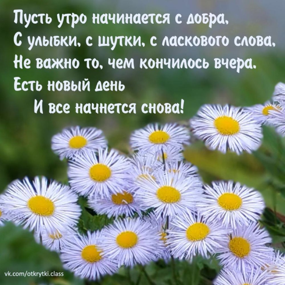 Открытки с добрым утром красивые