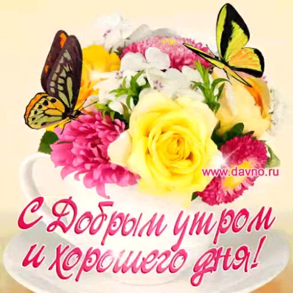Открытки с добрым утром среды