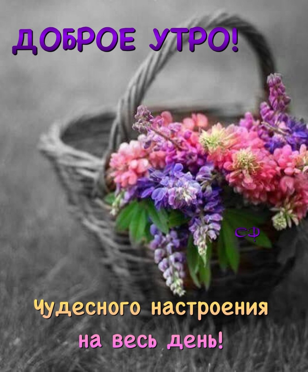 Музыкальные открытки с добрым утром