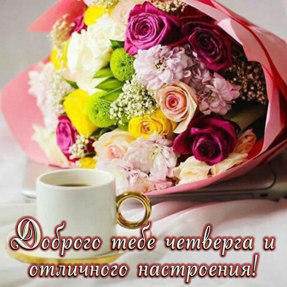 Открытки поздравления с добрым утром на природе