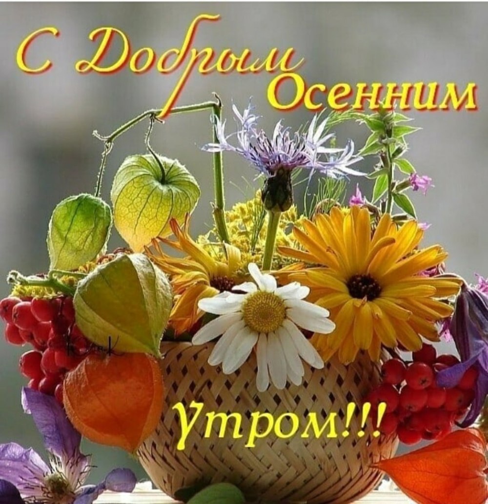 Красивые букеты с добрым утром