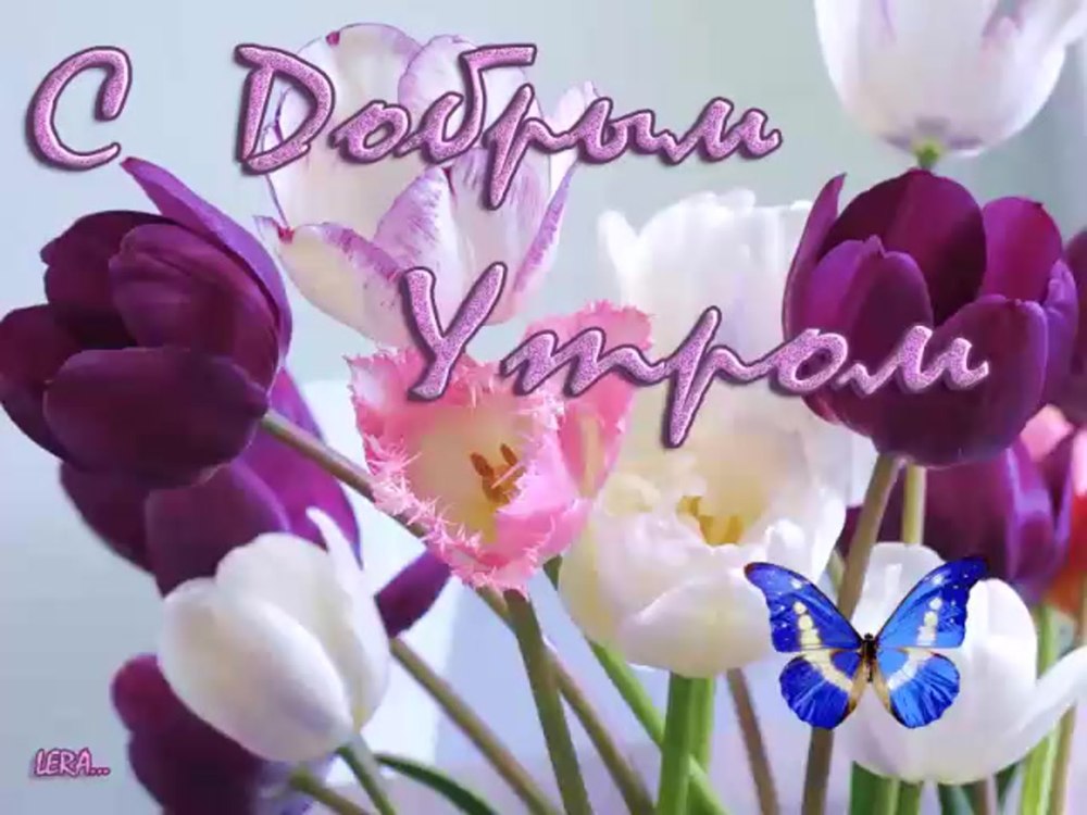 Доброе утро чудесного дня