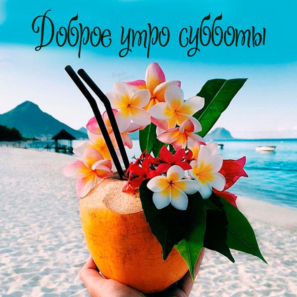 Летние цветы