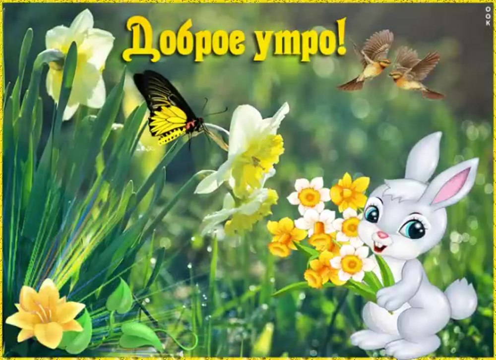С добрым утром девушке