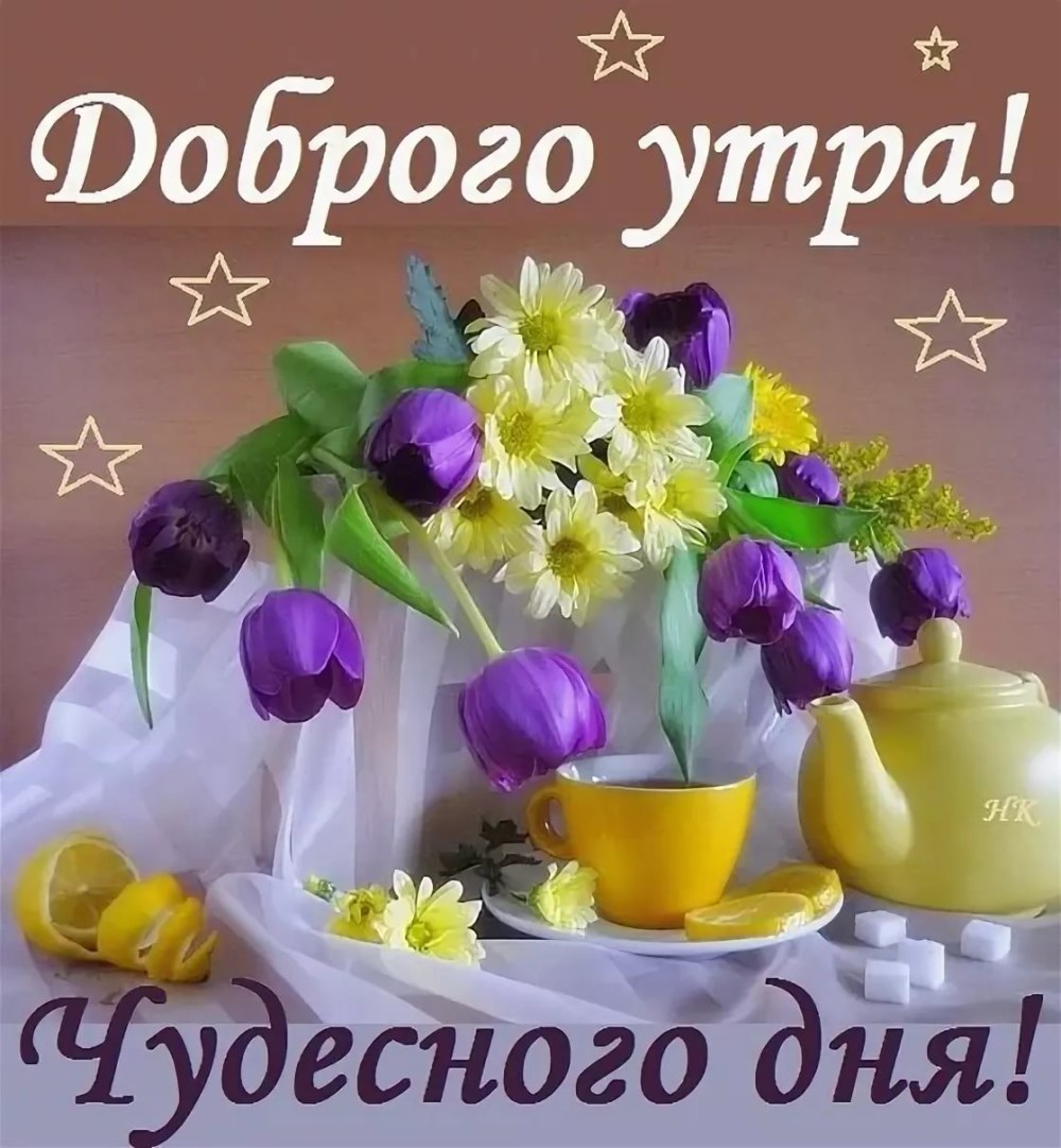 Доброе утро экзотические цветы