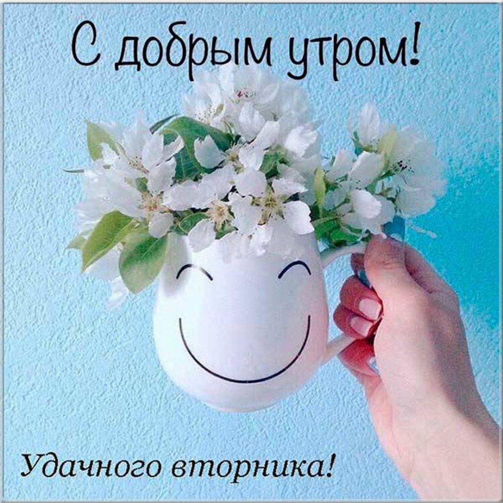 Цветочная композиция в чашке