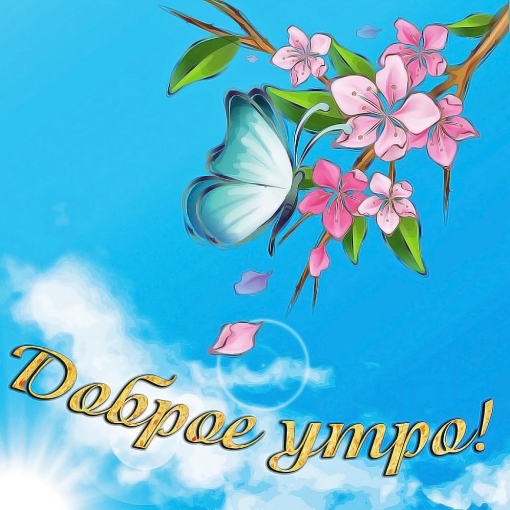 Пожелания с цветами доброго дня