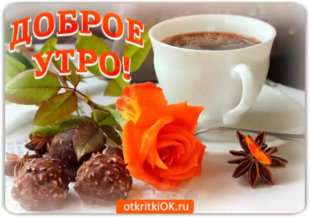 С добрым утром незабудки