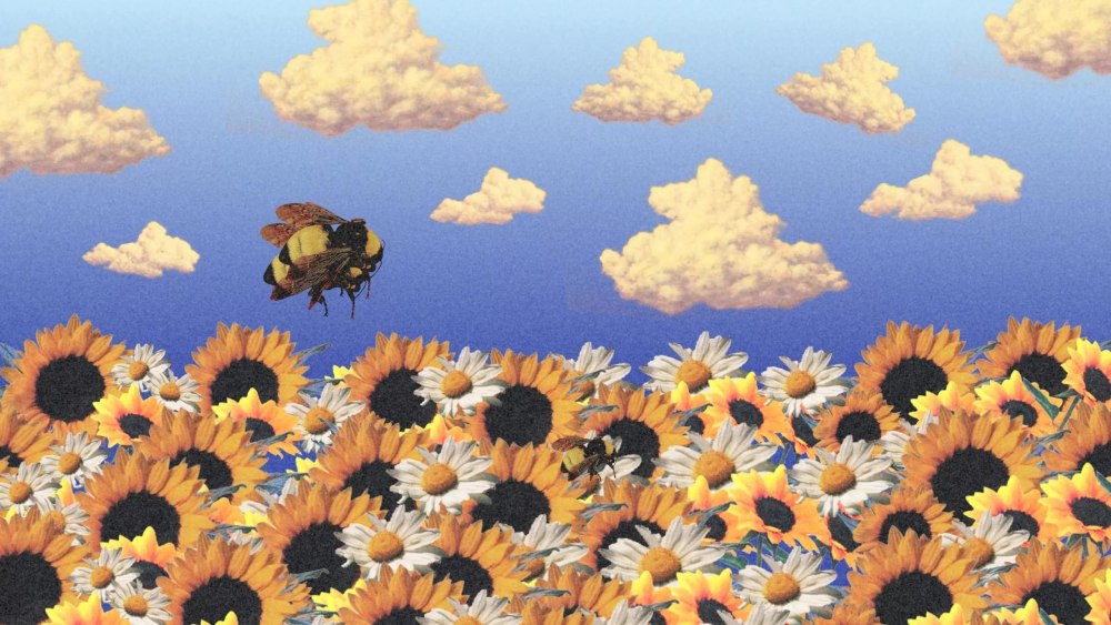 Tyler the creator Flower boy Art