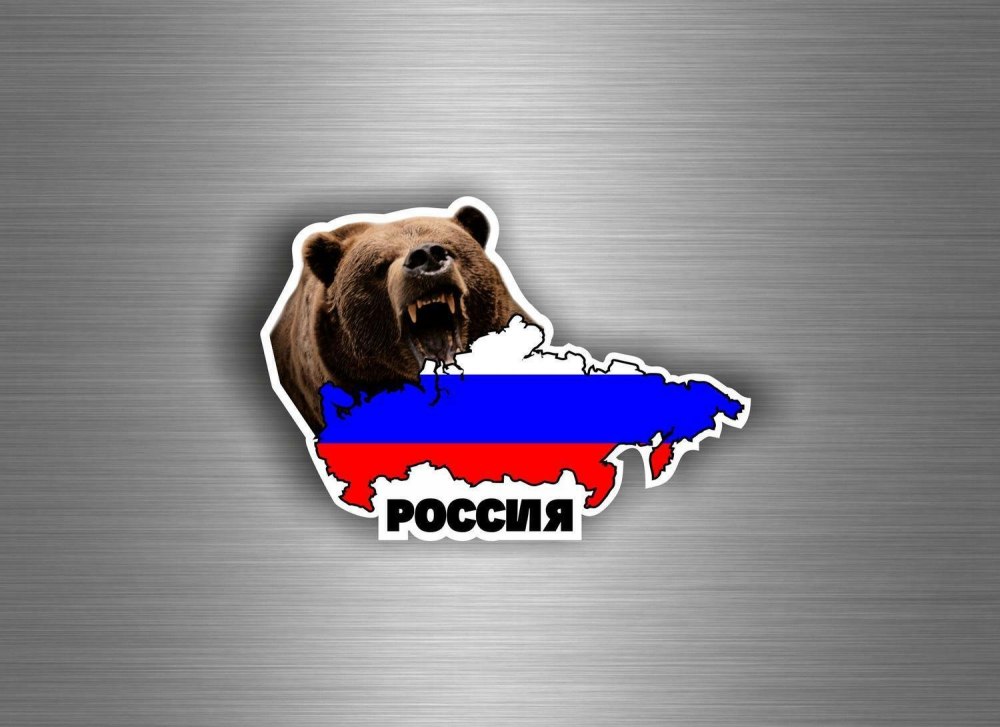 Медведь Россия