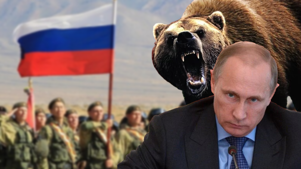 Медведь в военной форме