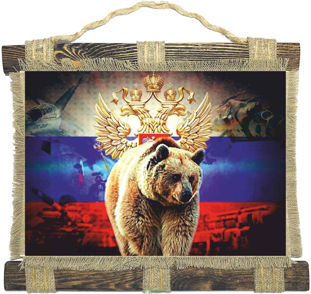 Медведь на фоне России