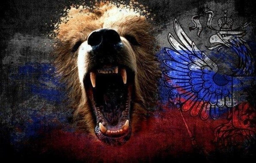 Медведь Россия картинки