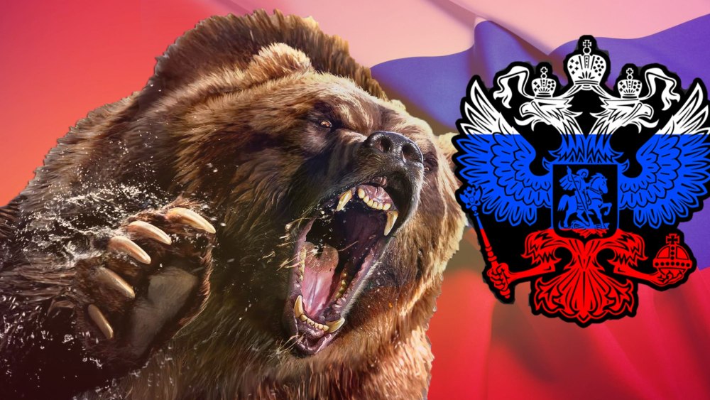 Медведь обои