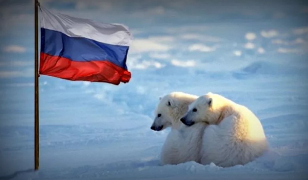 Медведь Россия