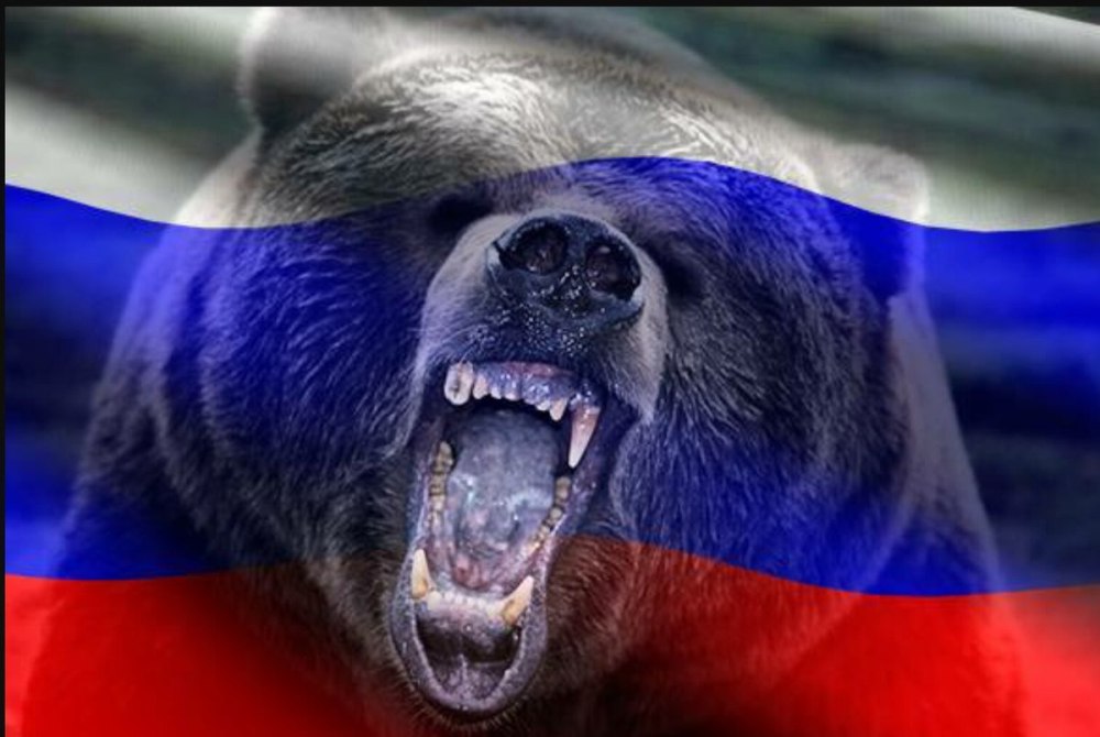 Путин на фоне медведя
