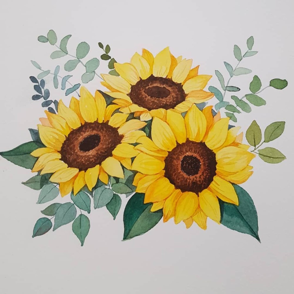 Рисунки подсолнухов