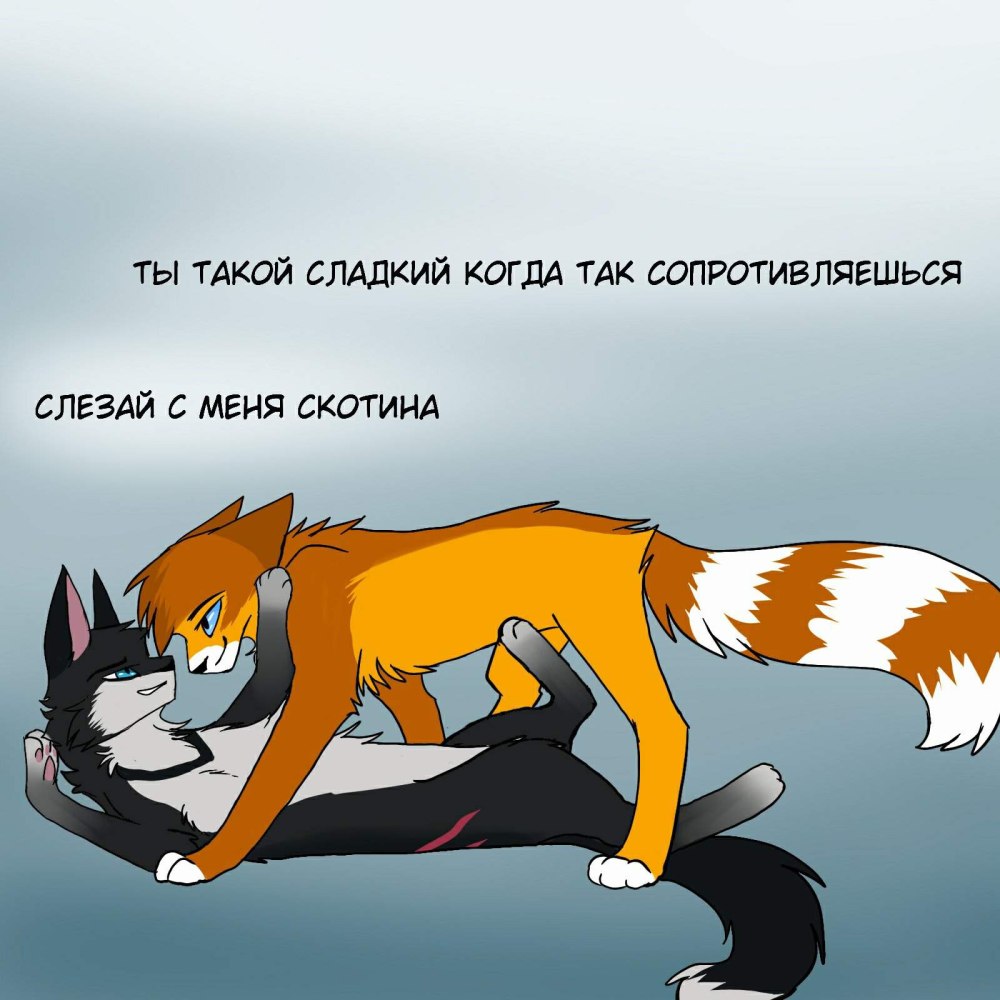 Коты Воители ЛГБТ