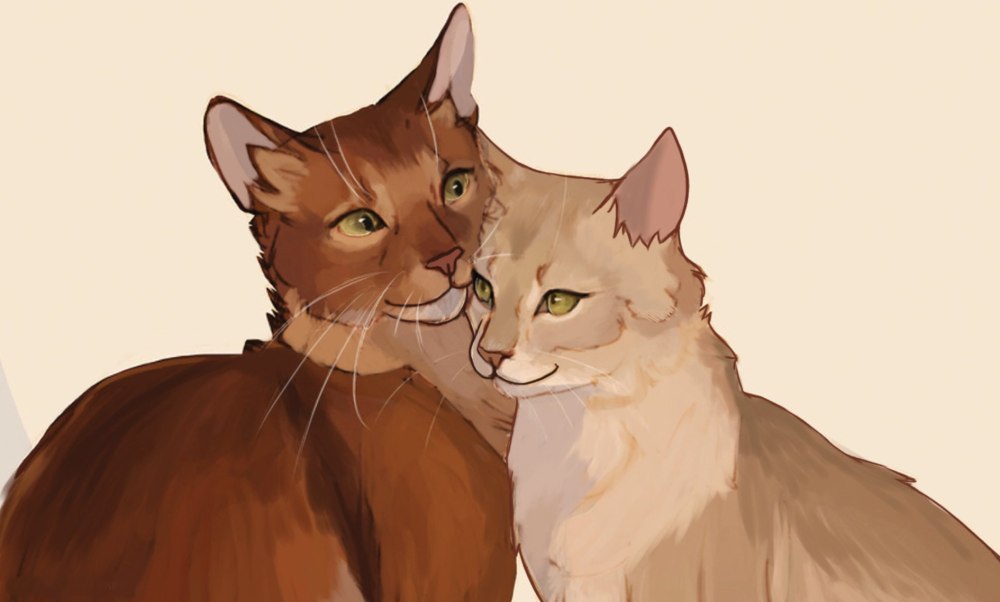 Crowfeather коты Воители