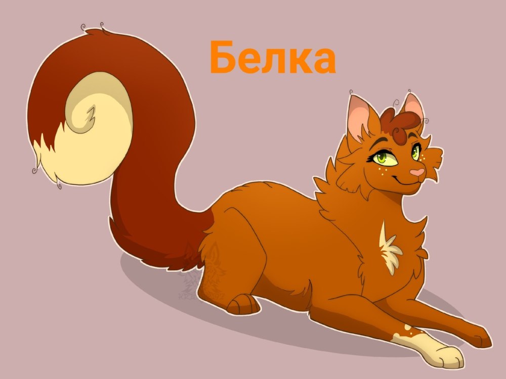 Коты Воители белка и ежевика и Уголек