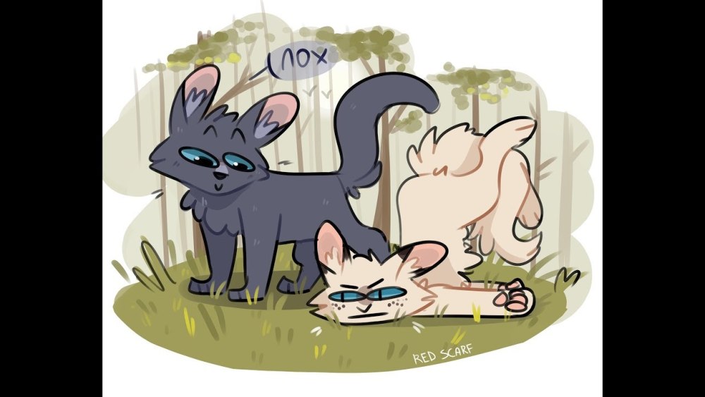 Коты Воители Ежевичная звезда и Огнезвёзд