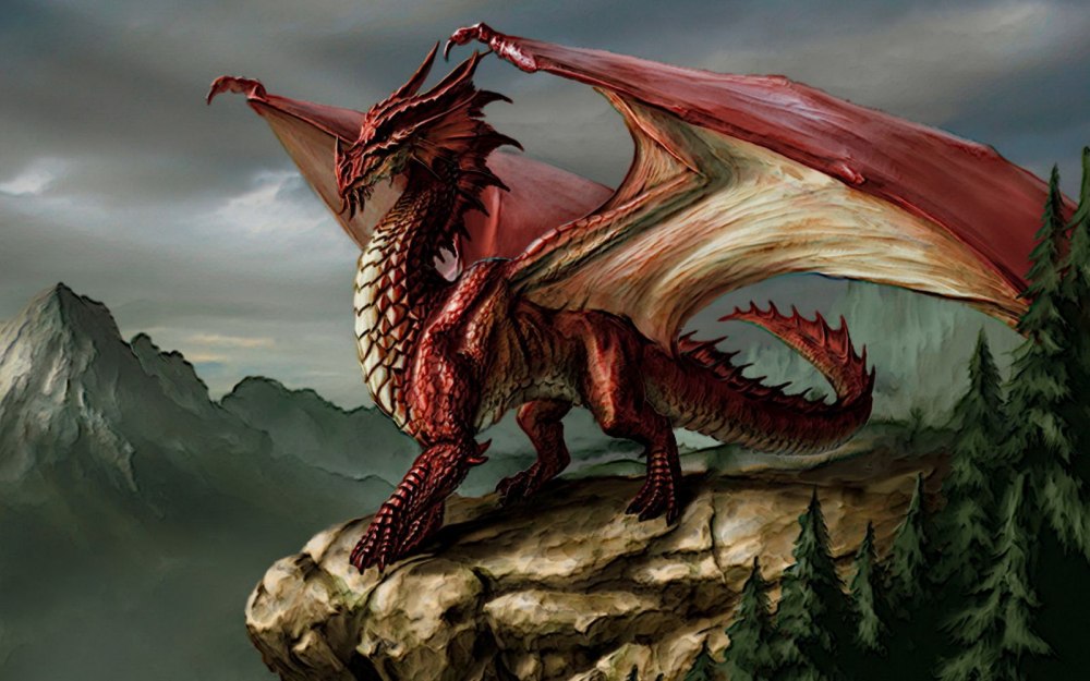 Dungeons and Dragons драконы