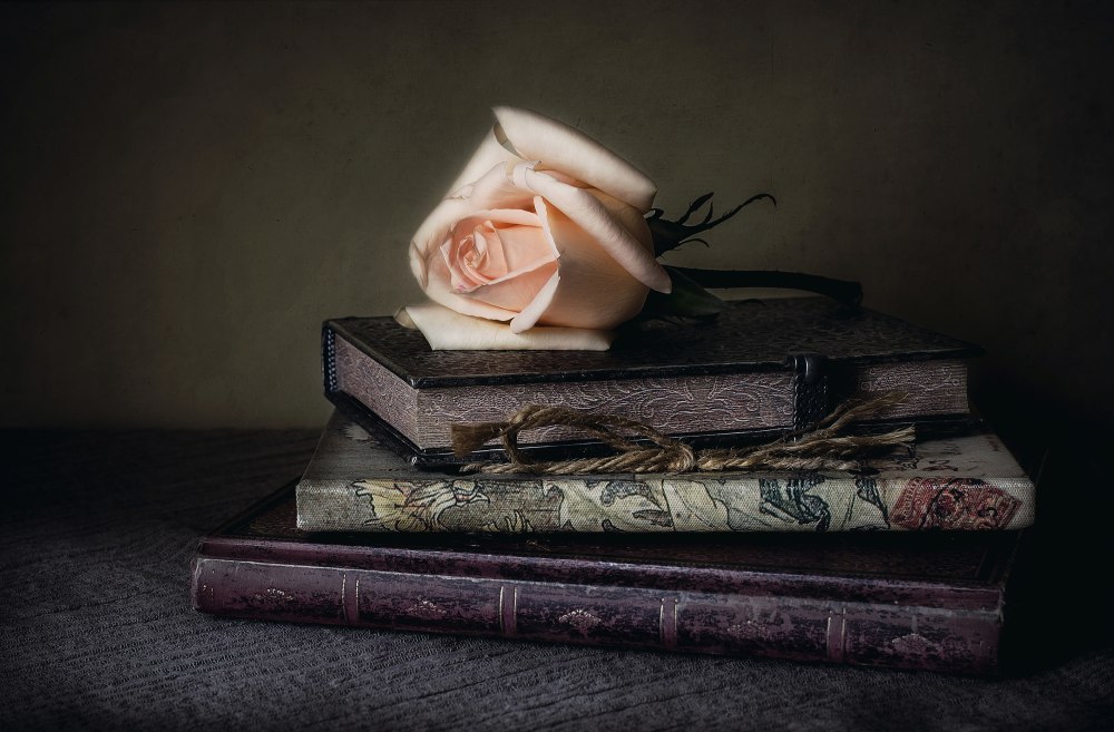 Стопка книг
