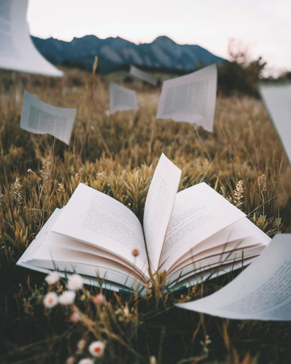 Раскрытая книга