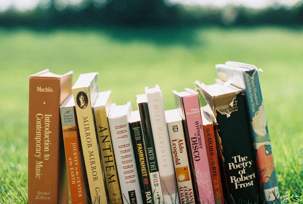 Стопка книг