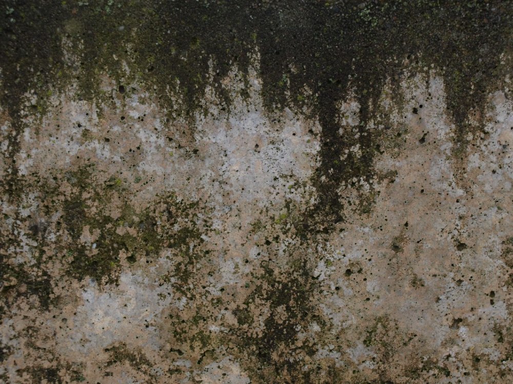 Dirt бесшовная
